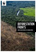 Deforestation Fronts - Drivers and Responses in a Changing World_WWF.JPG