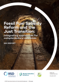 Fossil Fuel Subsidy Reform and the Just Transition