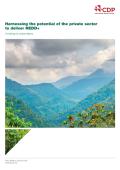 Harnessing the Potential of the Private Sector to Deliver REDD_CDP.jpg
