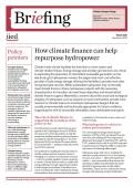 IIED Policy Brief.JPG
