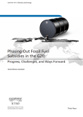 Phasing Out Fossil Fuel Subsidies in the G20_Progress, Challenges, and Ways Forward