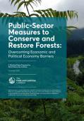 Public-Sector Measures to Conserve and Restore Forests_WRI.jpg