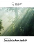 Recapitalising Sovereign Debt_F4B.jpg