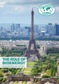 Role of Bioenergy.png