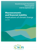 Macroeconomic_and_Financial_Stability_NGFS