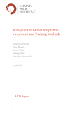 Cover_of_A_Snapshot_of_Global_Adaptation_Investment_NCI