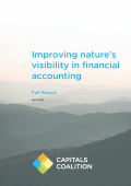 Cover_of_Improving_Natures_Visibility_in_Financial_Accounting_NCC