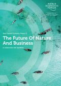 Cover_of_The_Future_of_Nature_and_Business_WEF