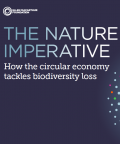 The Nature Imperative: How the circular economy tackles biodiversity loss