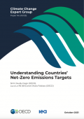 Understanding Countries Net-Zero Emission Targets