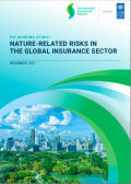 Nature-related Risks in the Global Insurance Sector