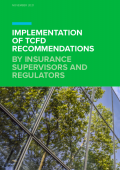 Implementation of TCFD Recommendations