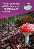 The Economics of Biodiversity The Dasgupta Review_HM Treasury.JPG