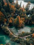 Photo of aerial shot of trees by Peter Jan Rijpkema on Unsplash