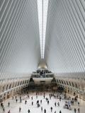 Photo of crowd by Seth Weisfeld on Unsplash