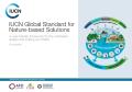 IUCN Global Standard for Nature-based Solutions, a user-friendly framework for the verification, design and scaling up of NbS,first edition_ICUN.jpg