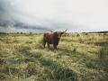 UNSPLASH - Anton Sharov - 133632