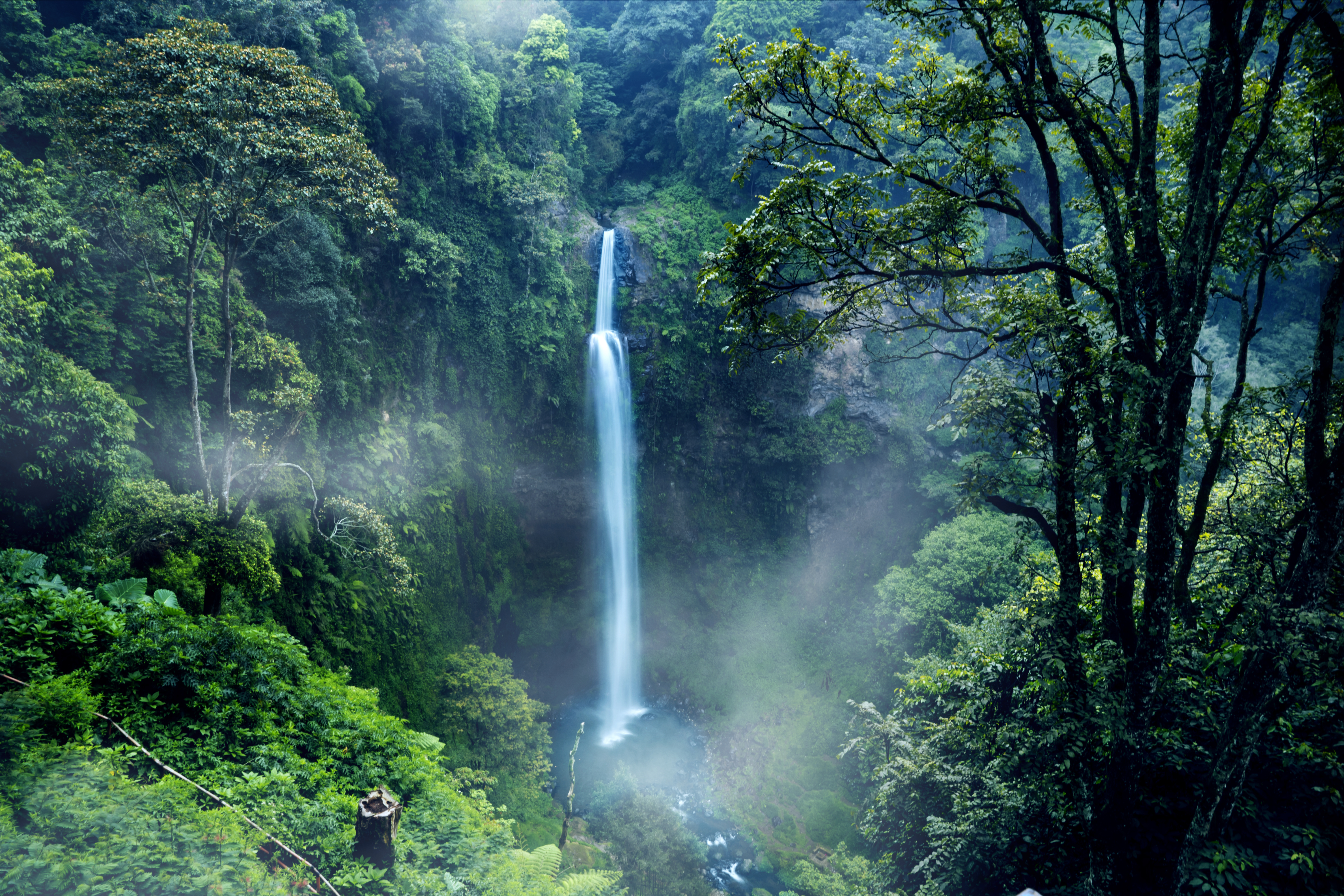 Photo by Creativa Images on Adobe Stock Photo by Creativa Images on Adobe Stock