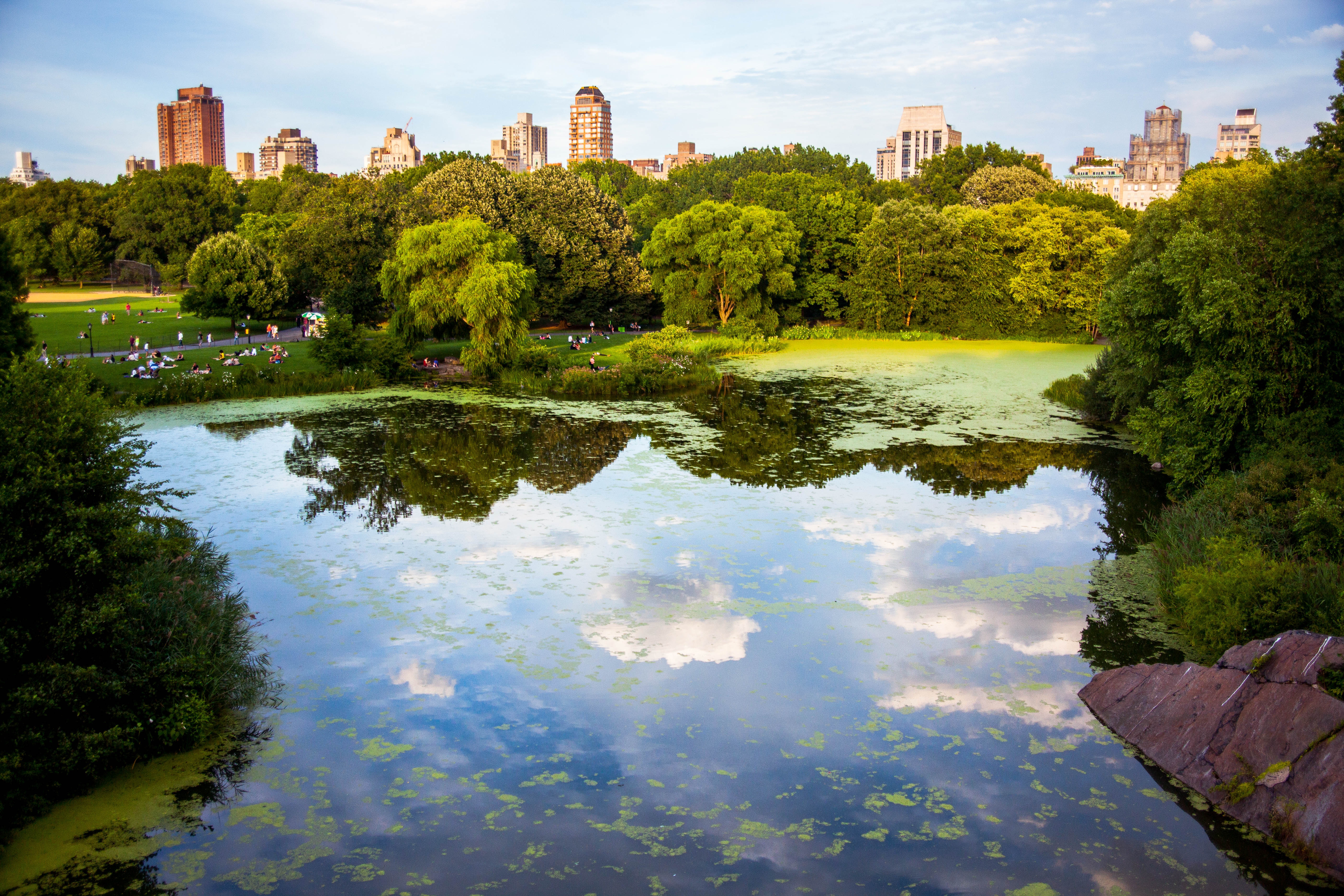 Photo by Hector Arguello Canals on Unsplash