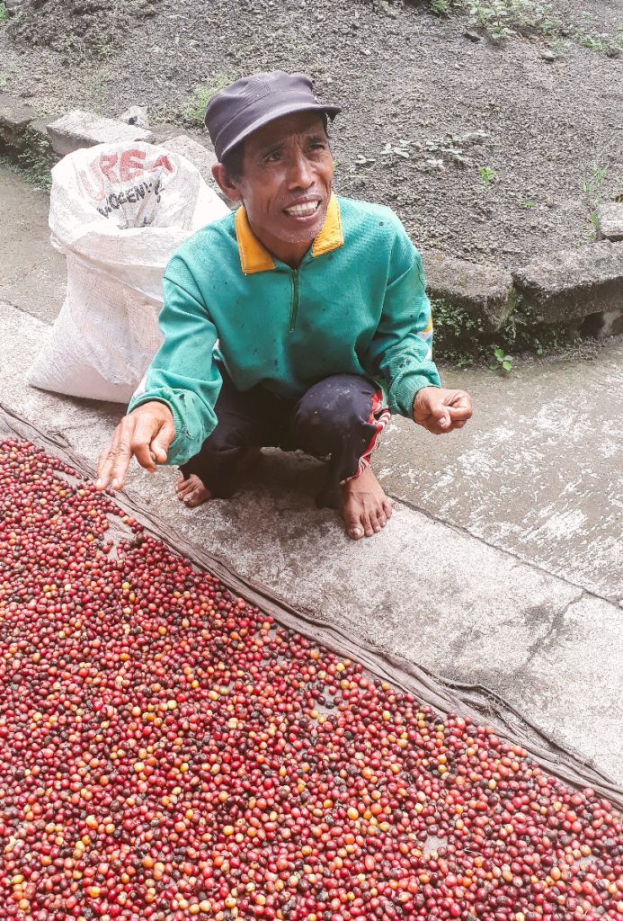 su-re.co - Cakra showing us the natural dry process su-re.co - Cakra showing us the natural dry process